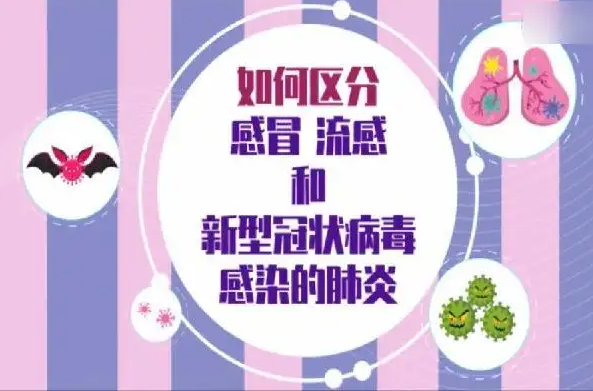 2.png 2.png